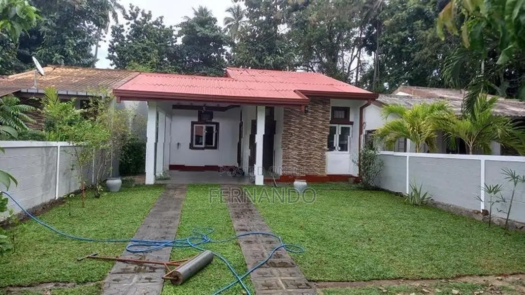 Malasiyan Carpet Grass