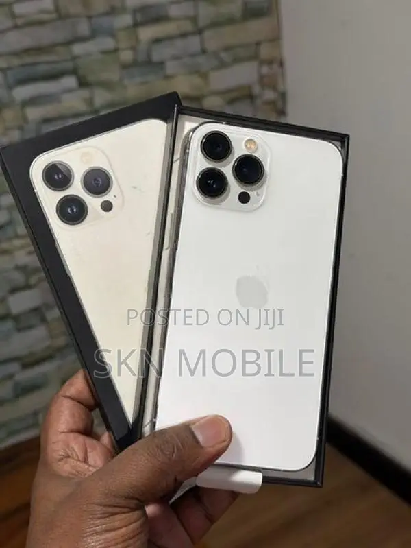 Apple iPhone 13 Pro Max 256GB (Used)