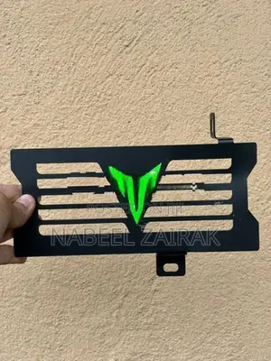 Yamaha MT-15 Radiator Guard