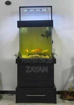 Fish Tank