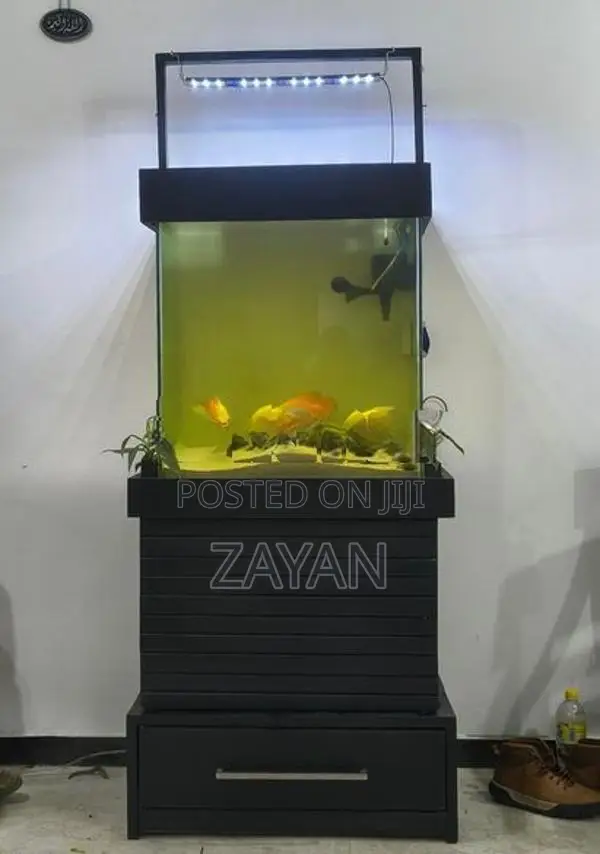 Fish Tank