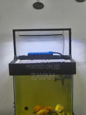 Fish Tank