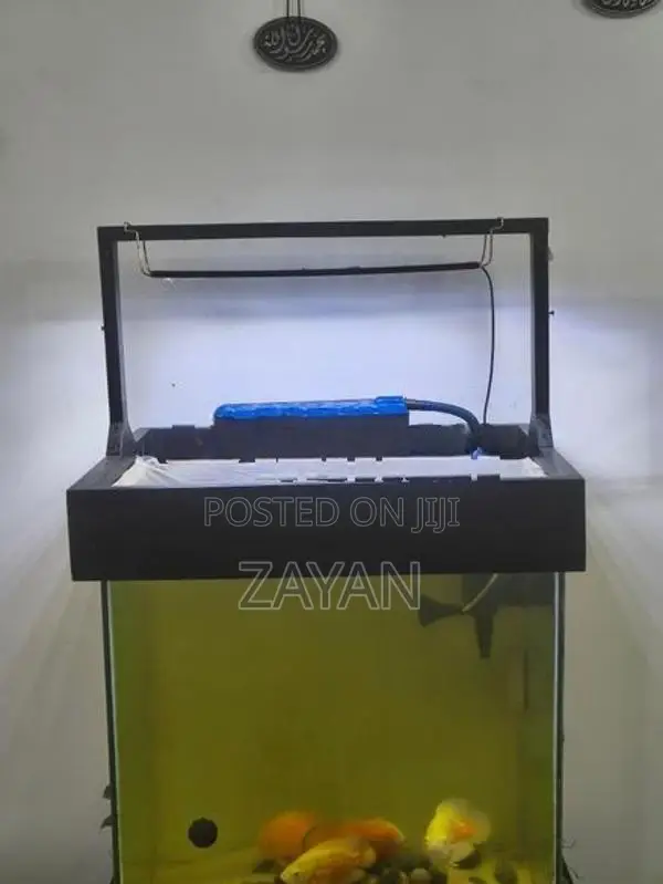 Fish Tank