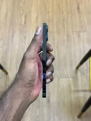 Apple iPhone 13 Pro Max (Used)