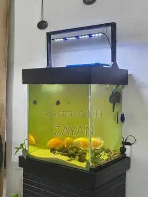 Fish Tank