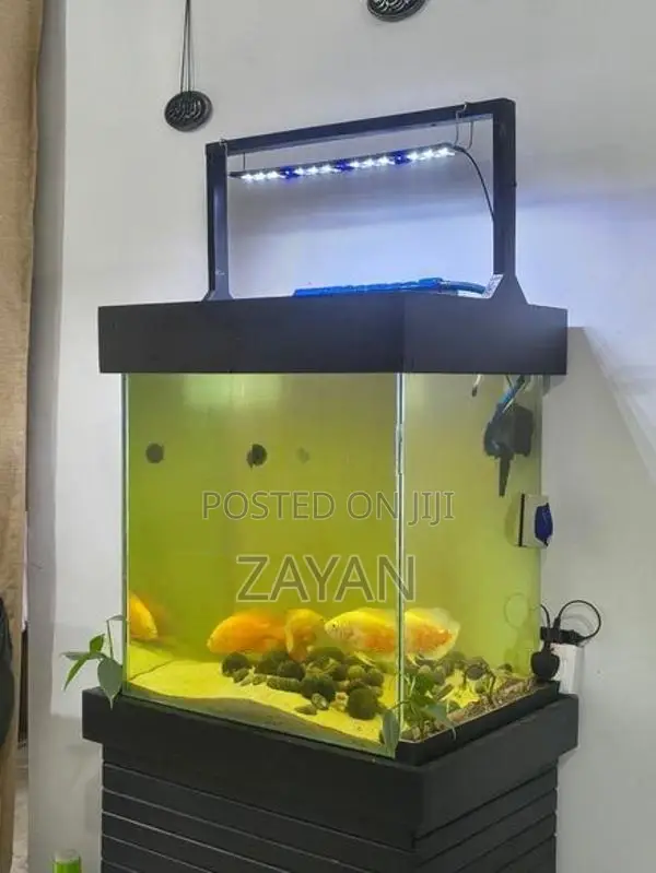Fish Tank