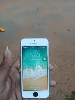 Apple iPhone 5S (Used)
