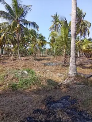 Land for Sale in Diyadora