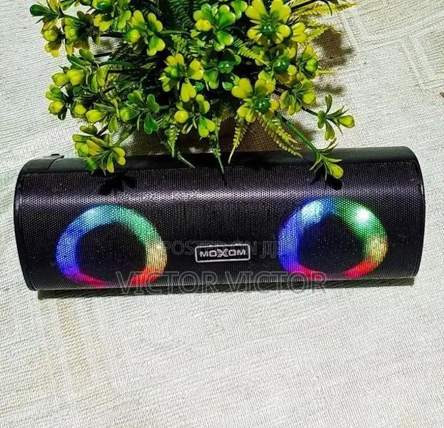 Bluetooth Speaker