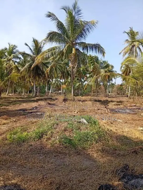 Land for Sale in Diyadora