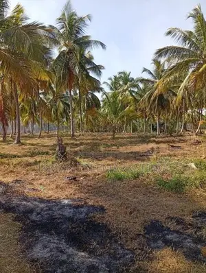 Land for Sale in Diyadora