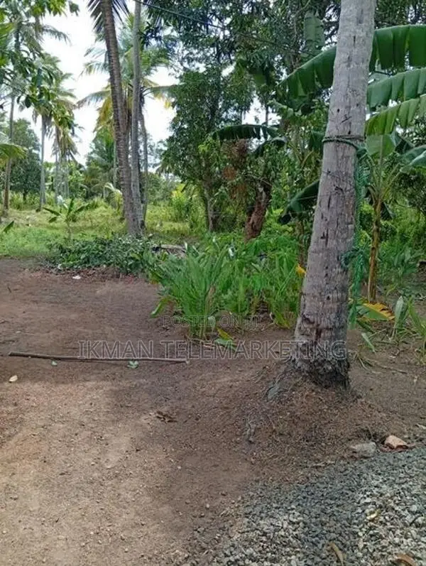 Land for Sale in Diyadora