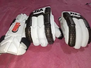 Cricket Set