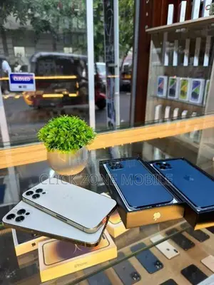 Apple iPhone 12 Pro 256GB (Used)