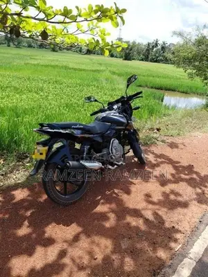Bajaj Pulsar 150 2017
