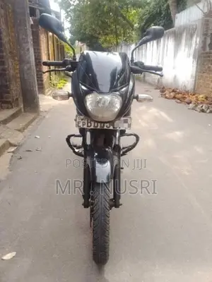 Bajaj Pulsar 150 2015