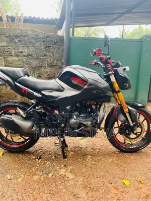 Hero Hunk 160R 2025