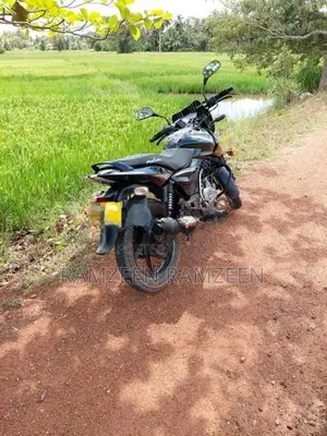 Bajaj Pulsar 150 2017