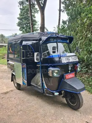 Piaggio Ape 2016