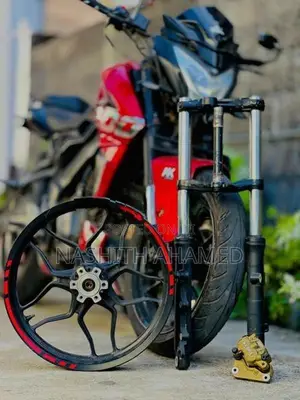 Bajaj Pulsar NS200 BS4 Fork Set with Alloy Wheel