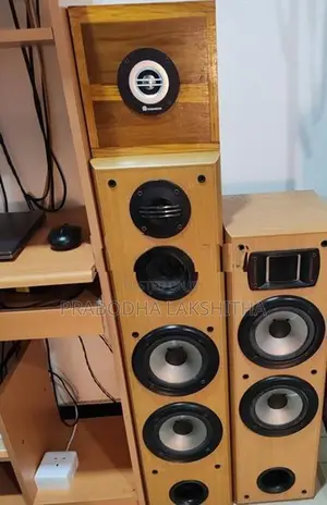Home Theatre Speakers