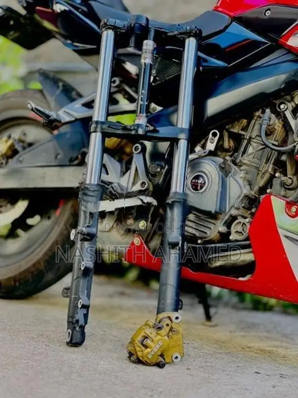 Bajaj Pulsar NS200 BS4 Fork Set with Alloy Wheel