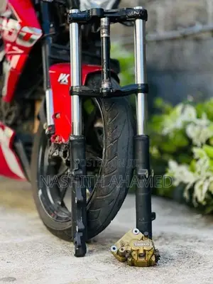 Bajaj Pulsar NS200 BS4 Fork Set with Alloy Wheel