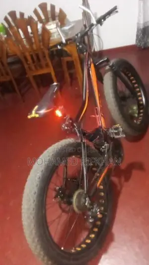 Japan Double Disk Bicycle
