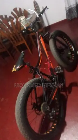Japan Double Disk Bicycle