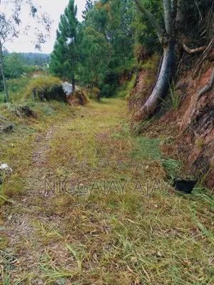 Land for Sale Bandarawela