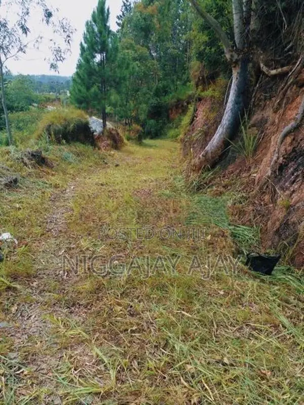 Land for Sale Bandarawela
