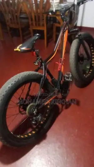 Japan Double Disk Bicycle