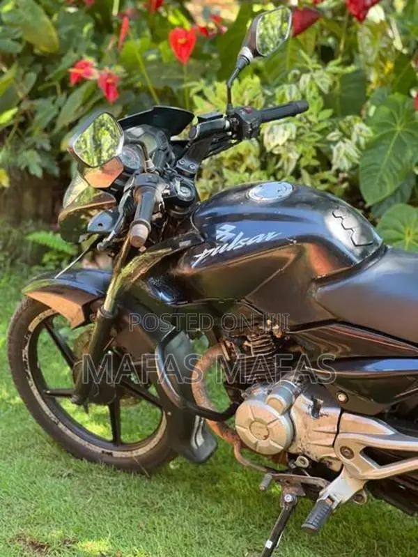 Bajaj Pulsar 135 2015