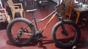 Japan Double Disk Bicycle
