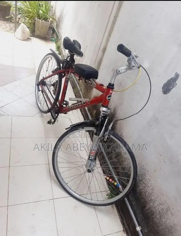 Bicycle