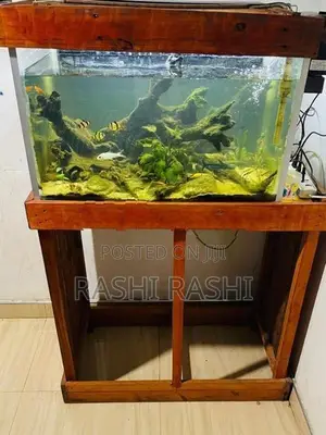 Fish Tank