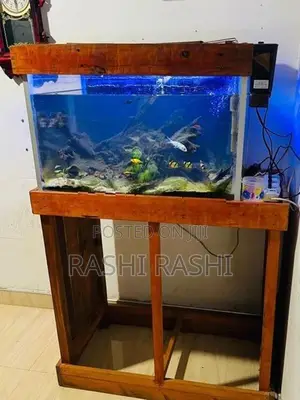 Fish Tank