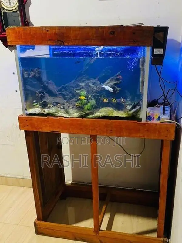 Fish Tank
