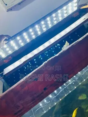 Fish Tank