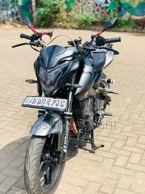 Bajaj Pulsar NS200 2019