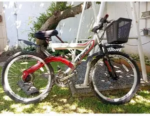 Lumala Bicycle with Disc Break