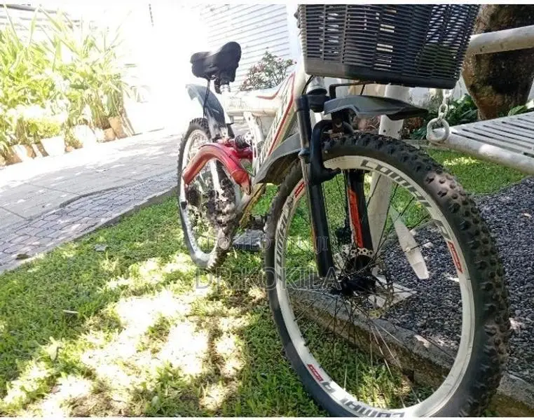 Lumala Bicycle with Disc Break