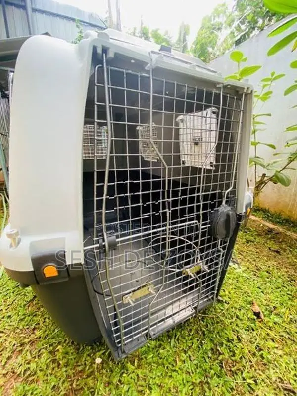 Pet Transporter Cage Large