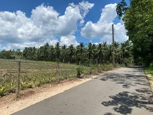 550 Perches Superb Residential Land for Sale at Padukka