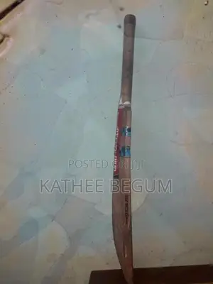 Gray Nicolls Leather Bat
