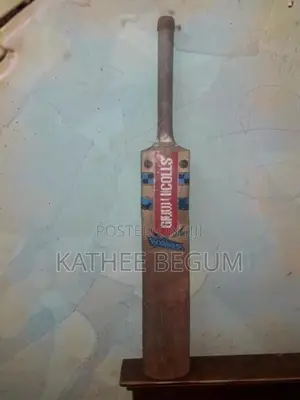 Gray Nicolls Leather Bat