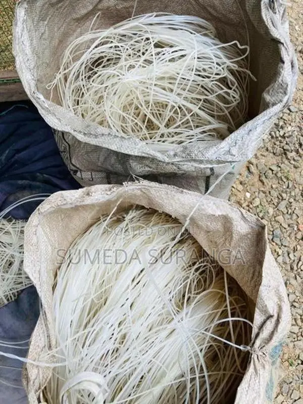 වගාආවරණ දැල්