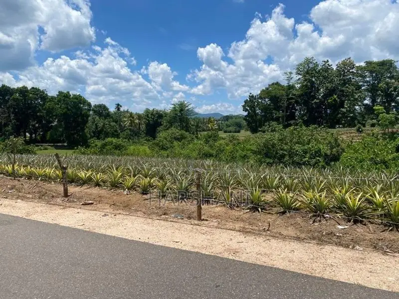 550 Perches Superb Residential Land for Sale at Padukka