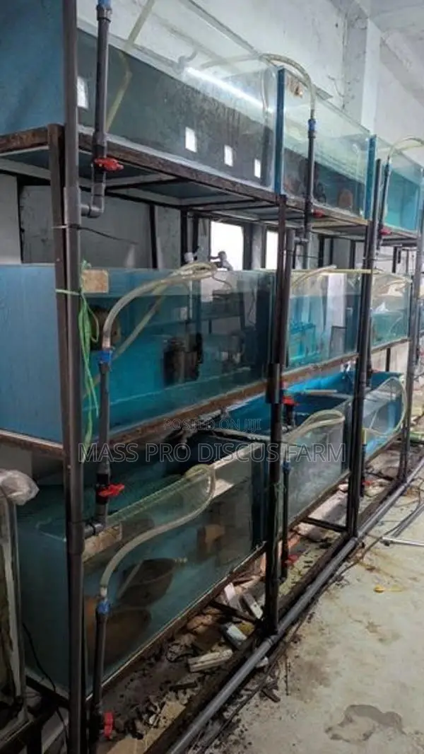 Fish Tanks Set with Stand