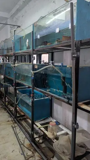Fish Tanks Set with Stand